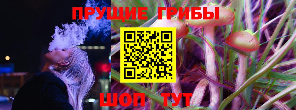 Галлюциногенные грибы Psilocybine cubensis Миасс